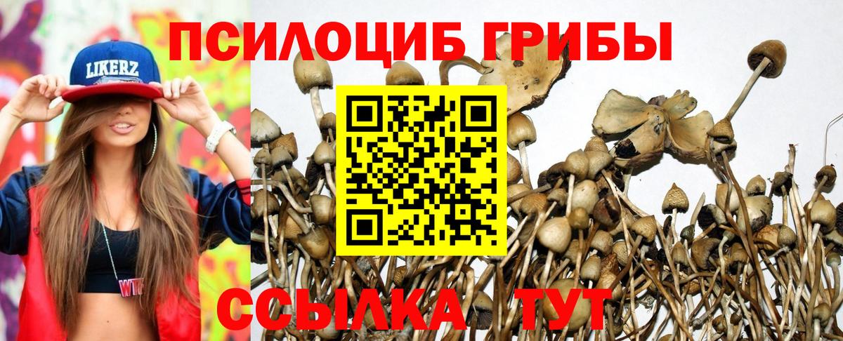 Галлюциногенные грибы Psilocybine cubensis  Галлюциногенные грибы Psilocybine cubensis  Вход с VPN  Елизово 